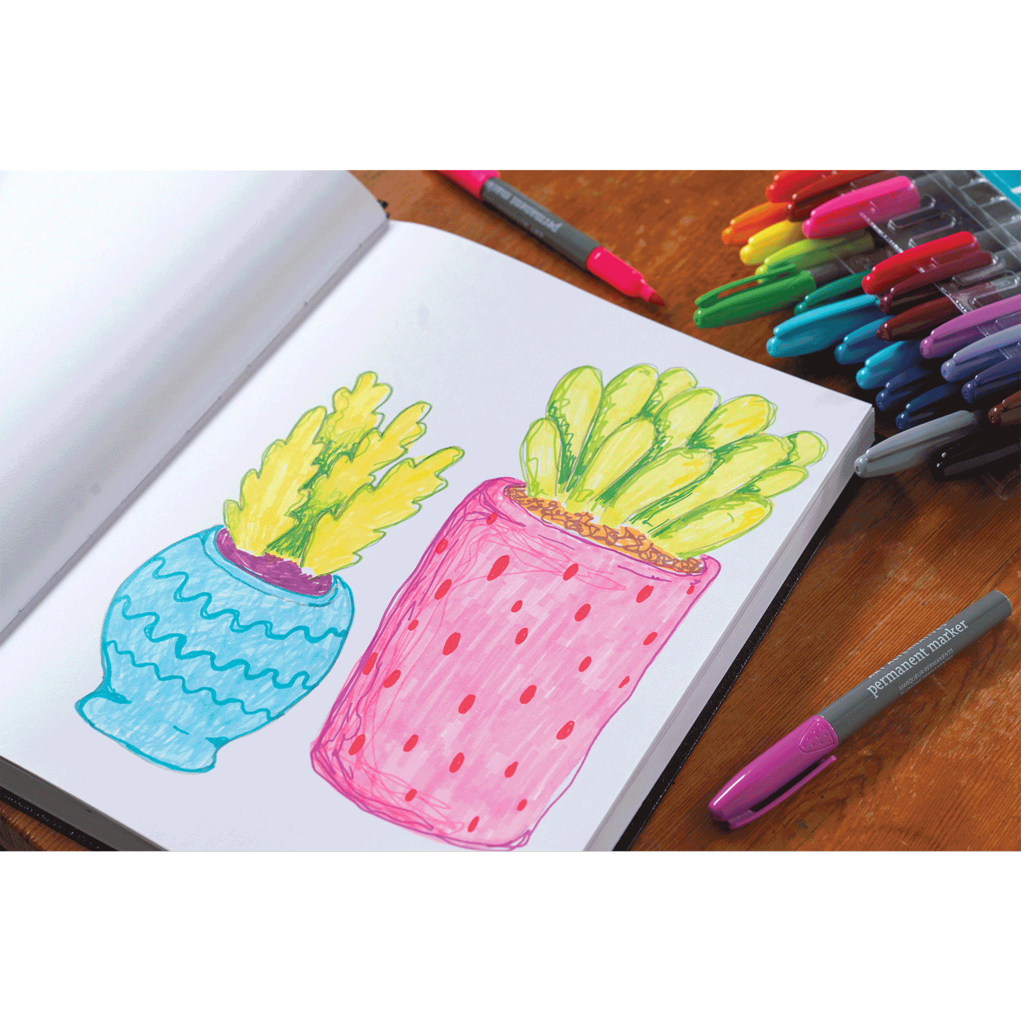 Art Alternatives 24-Piece Fine Permanent Marker Set 4 Art Alternatives 24-Piece Fine Permanent Marker Set