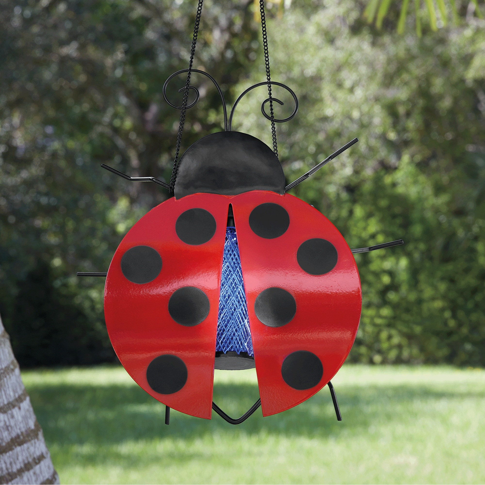 Solar Ladybug/Butterfly Bug Zapper 3 Solar Ladybug/Butterfly Bug Zapper