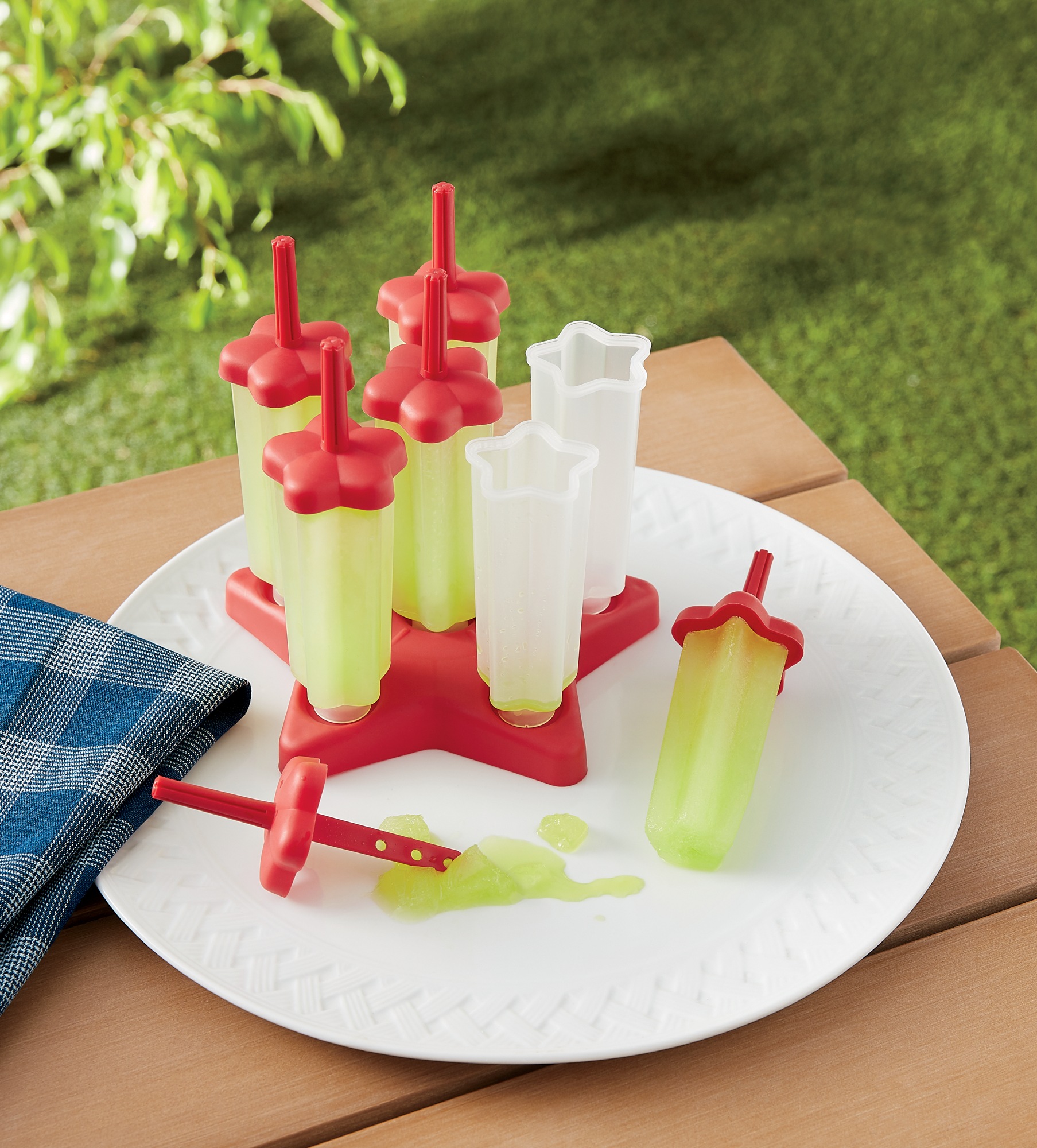 Set of 6 Popsicle Molds