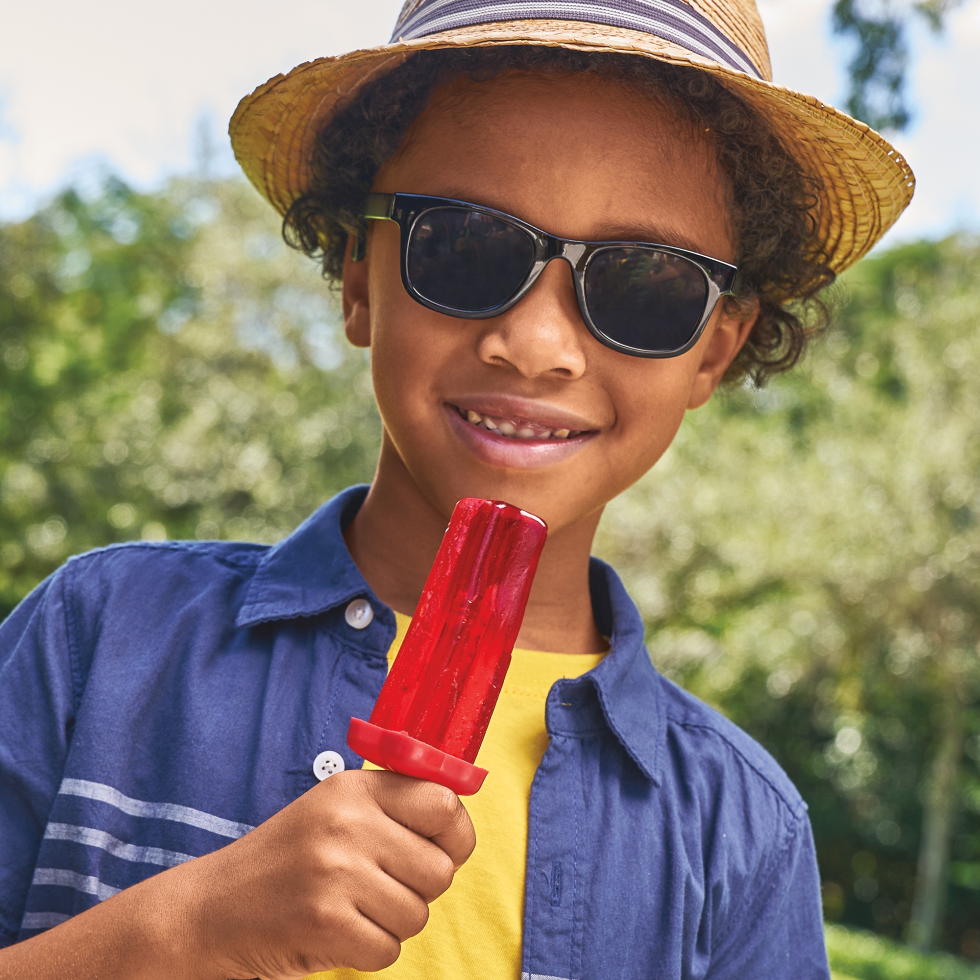 Set of 6 Popsicle Molds