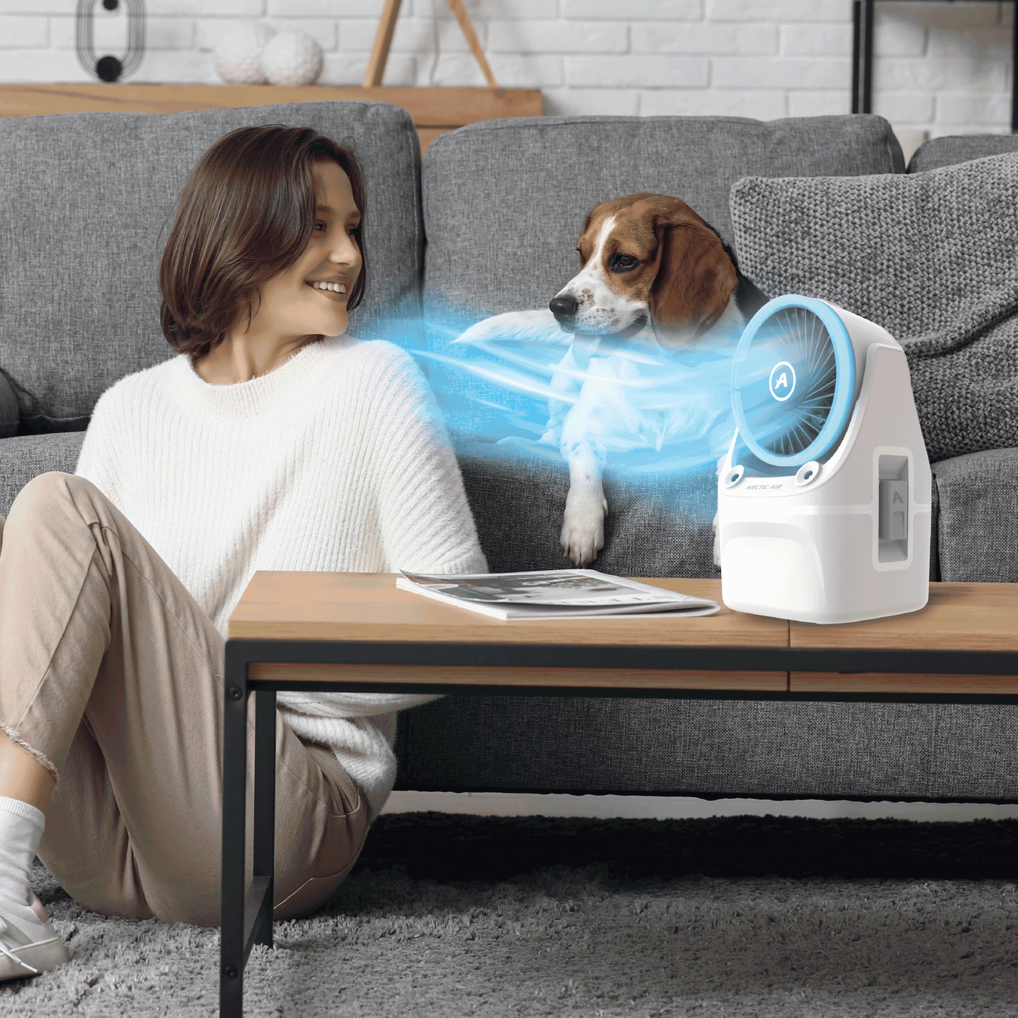 Arctic Air Ice Jet X3 4 Arctic Air Ice Jet X3