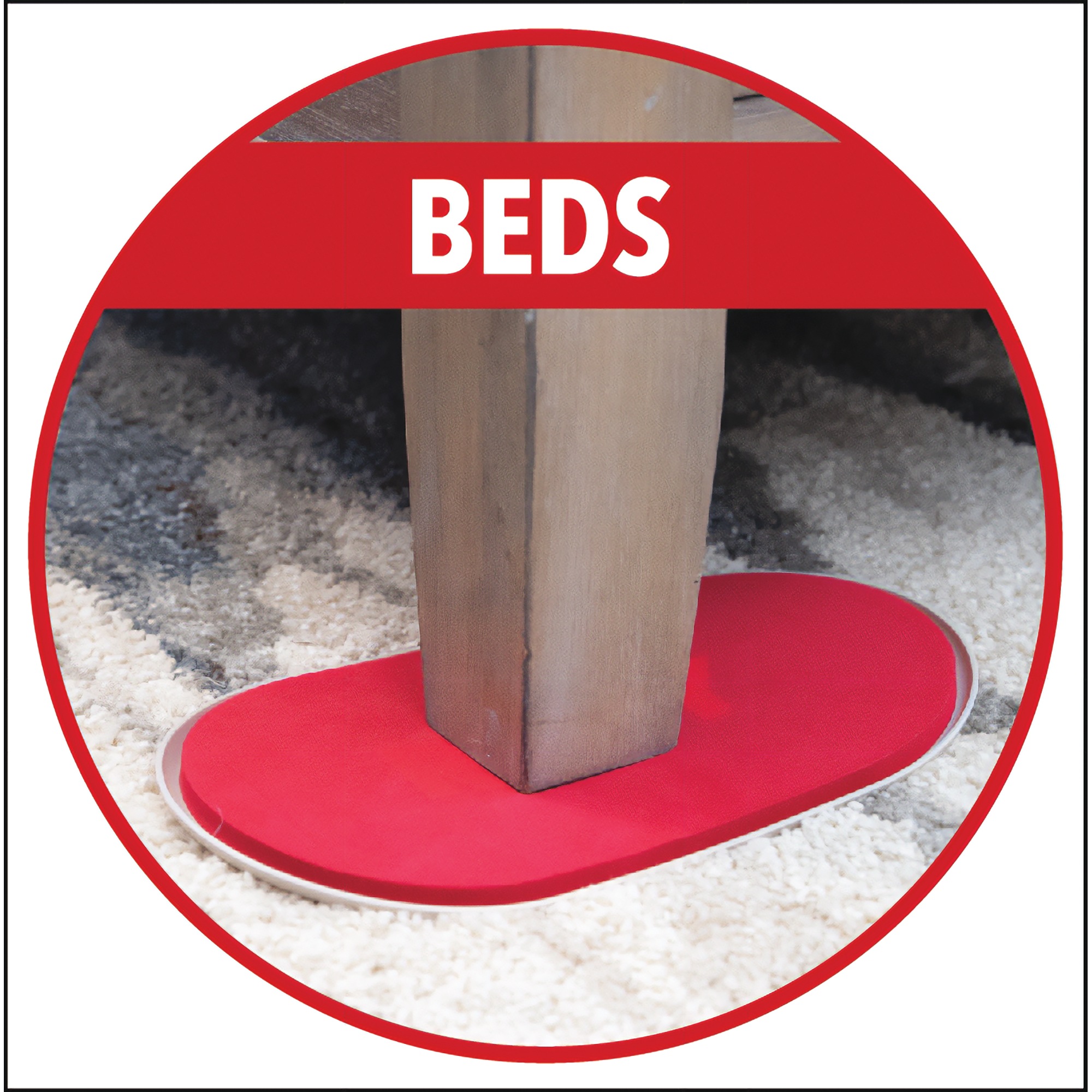 XL RUBY Movers 6 XL RUBY Movers