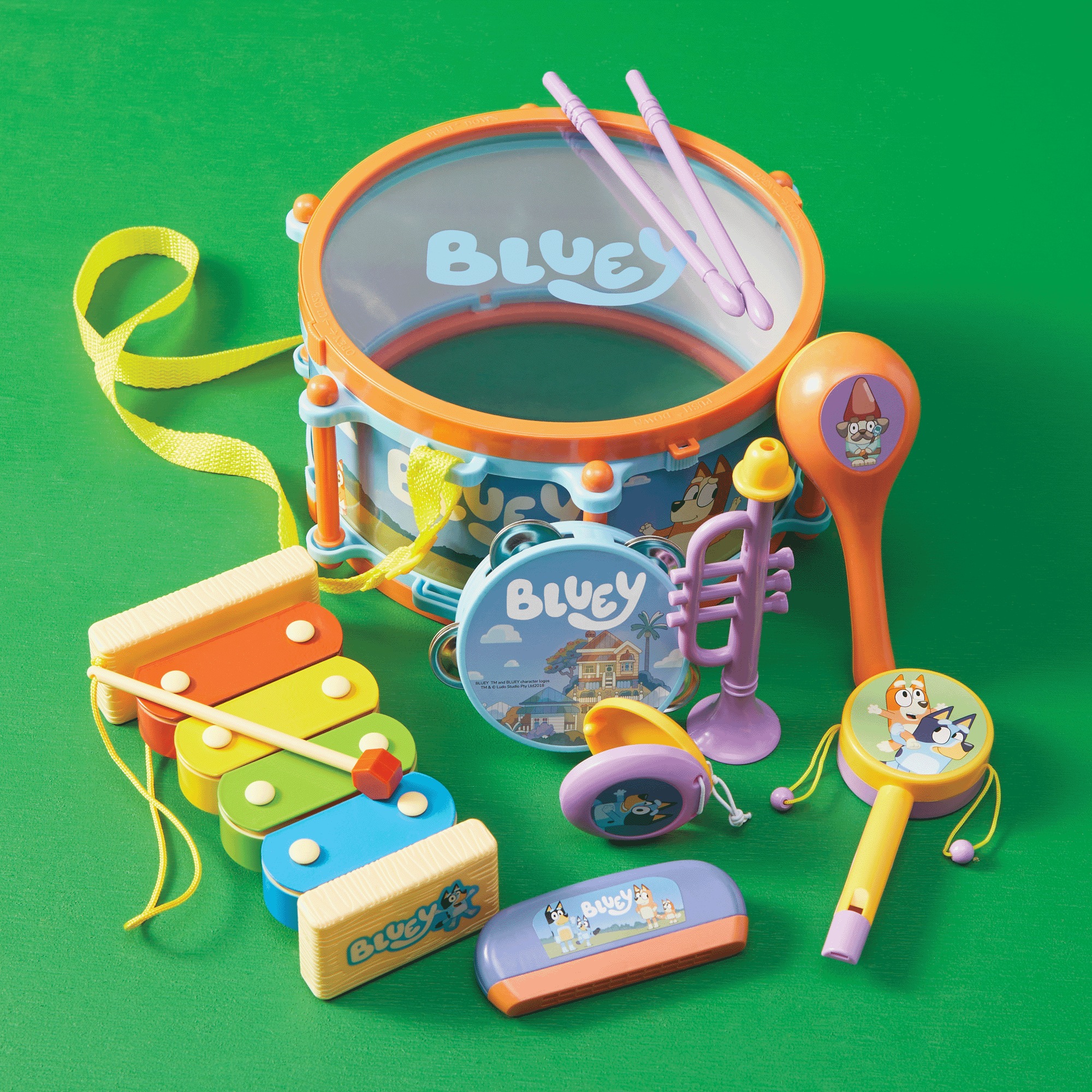 Bluey's Magic Band Set