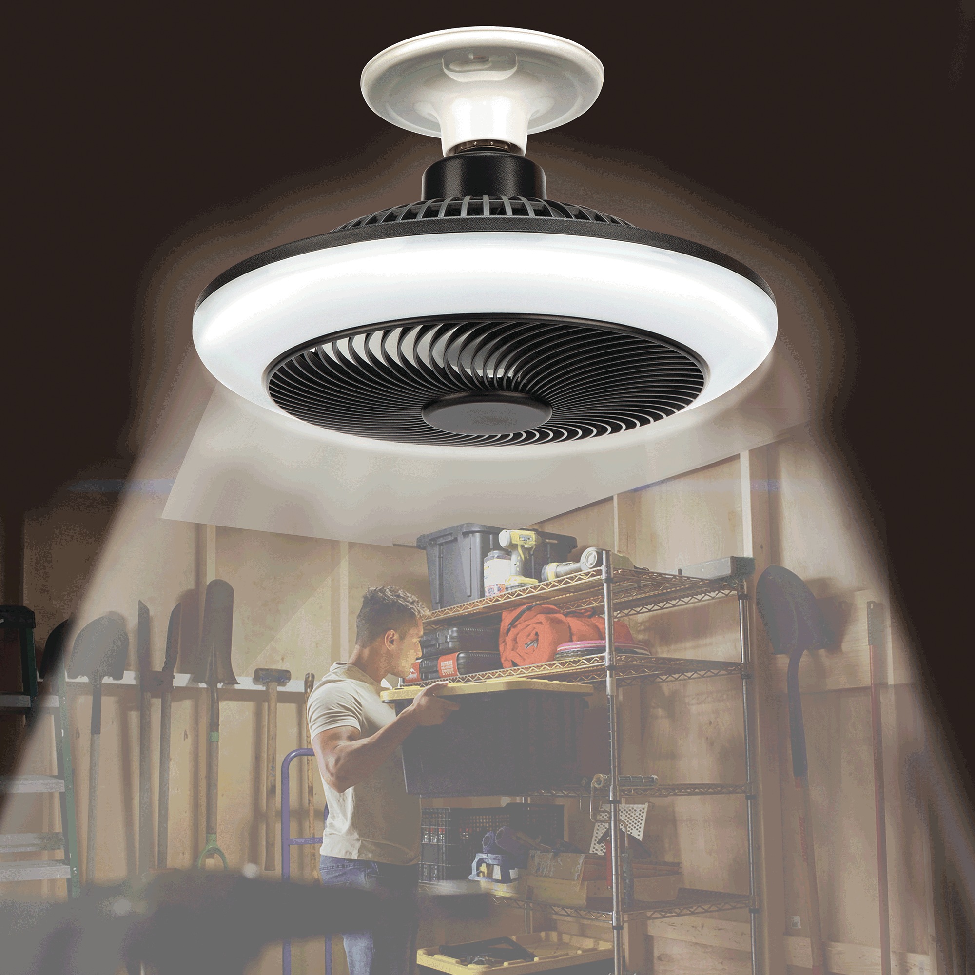 Breeze Brite Light Fan