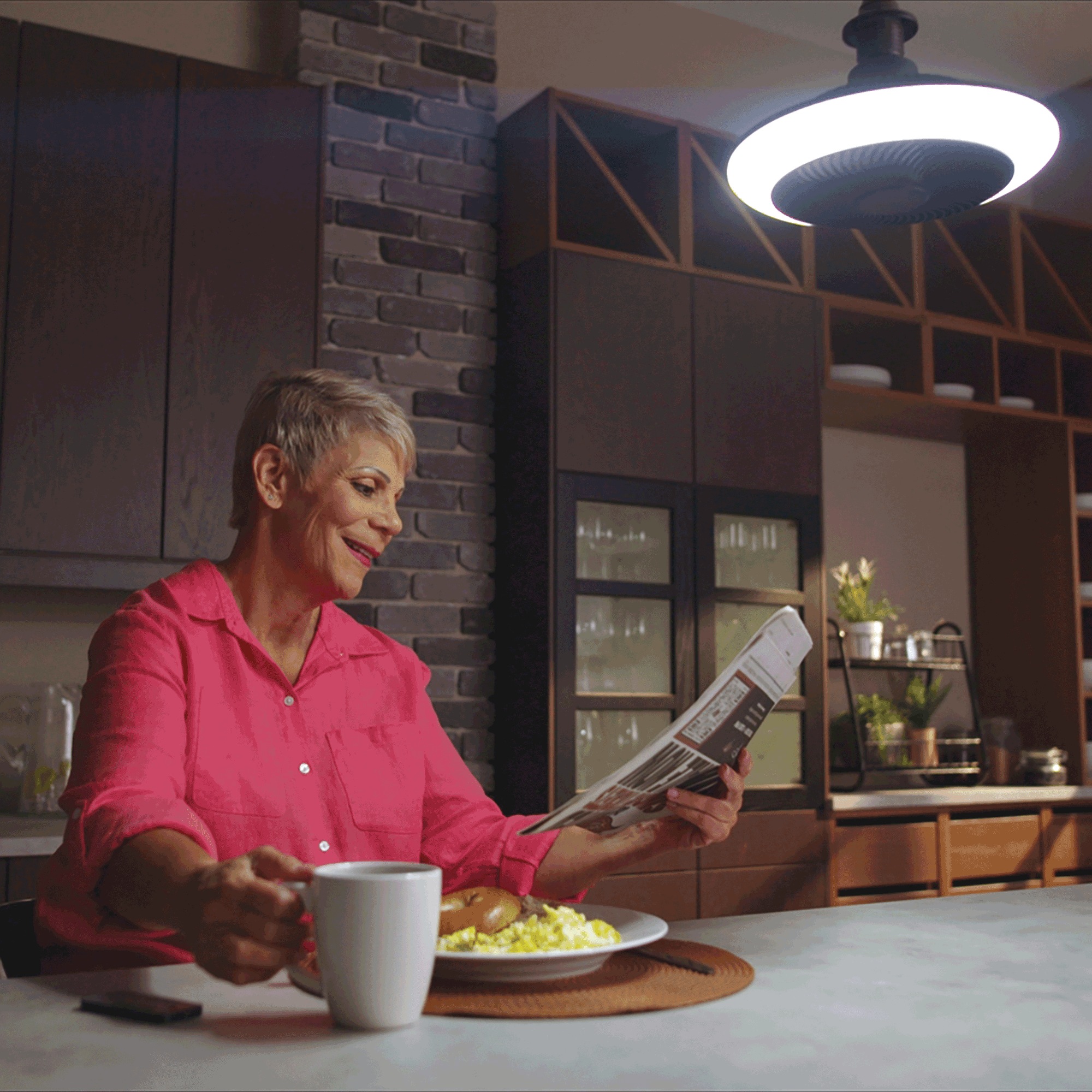 Breeze Brite Light Fan 5 Breeze Brite Light Fan