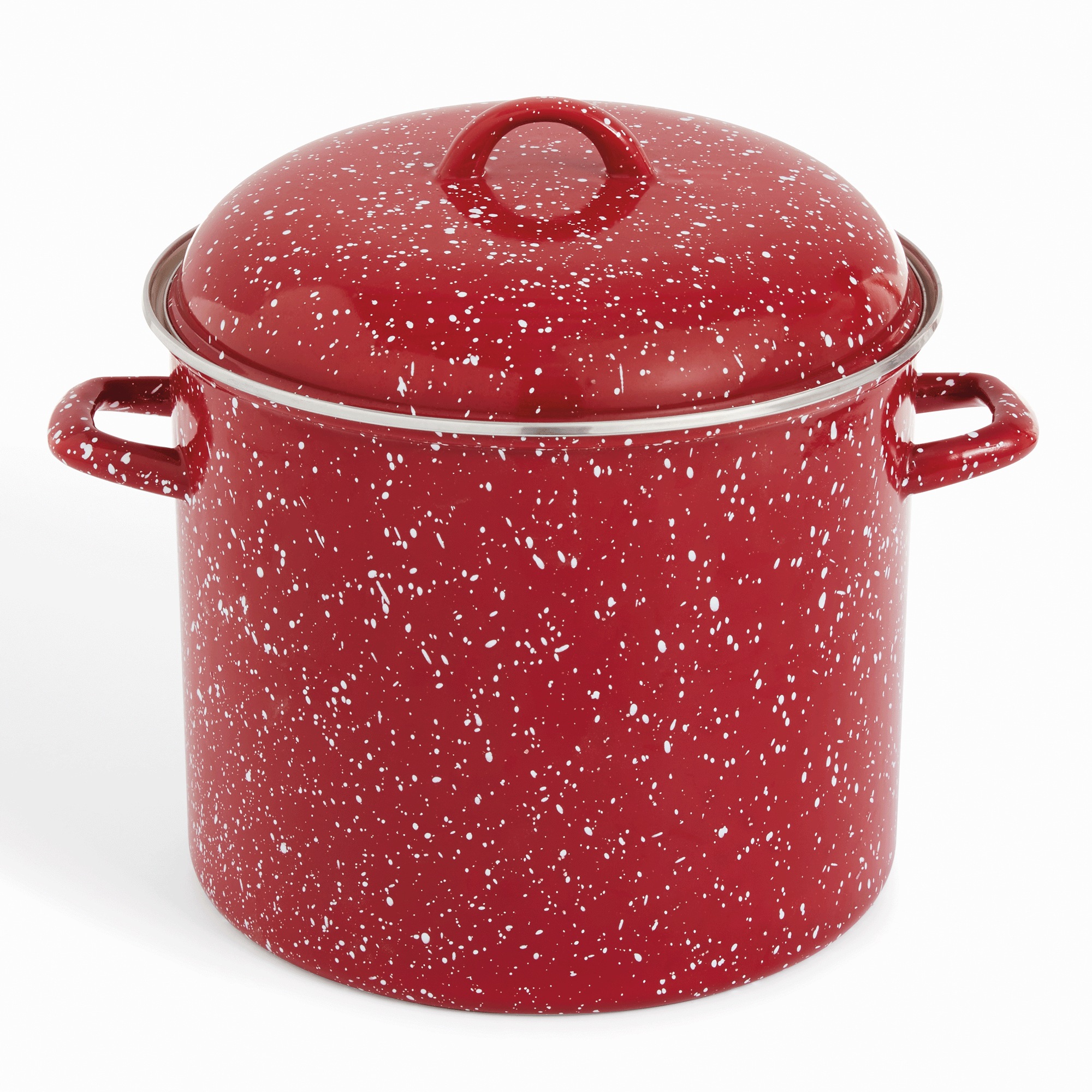 12-Quart Enameled Steel Stockpot & Lid with Speckled Finish
