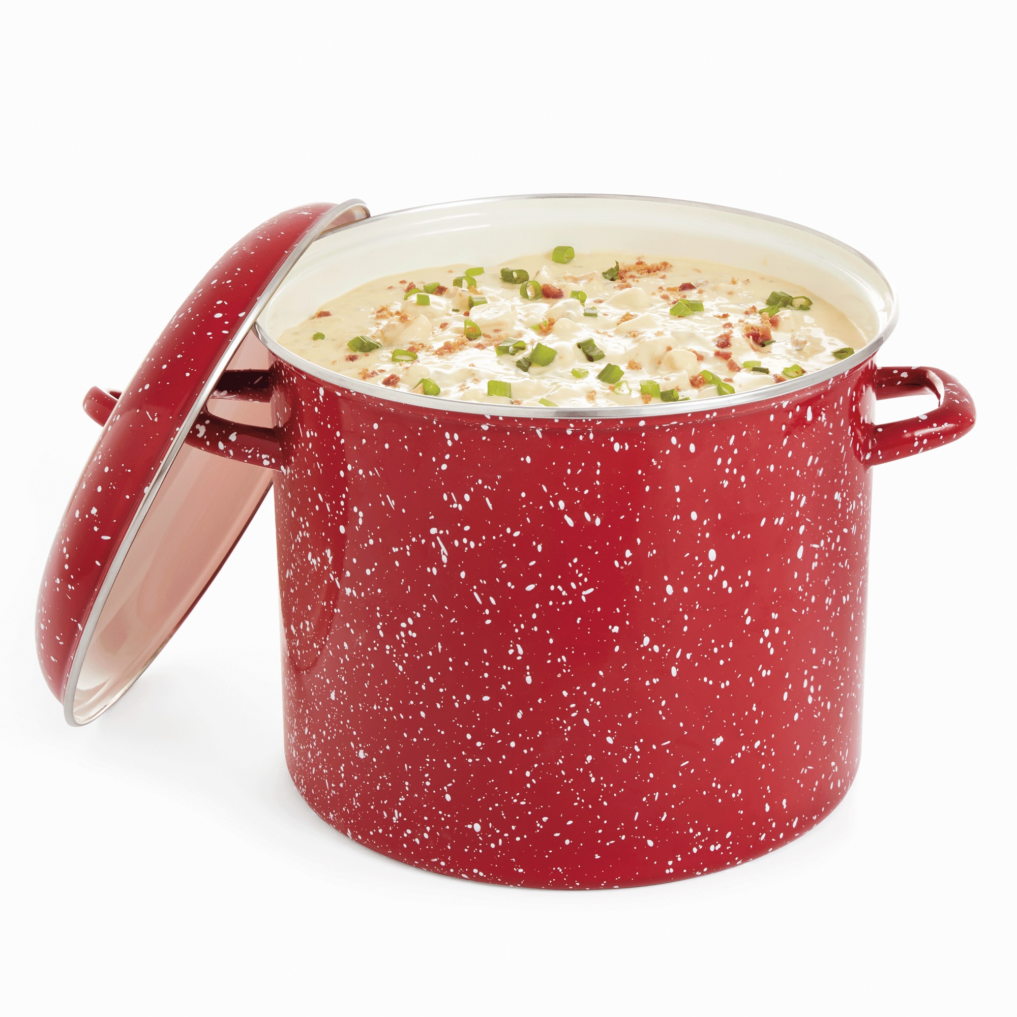 12-Quart Enameled Steel Stockpot & Lid with Speckled Finish