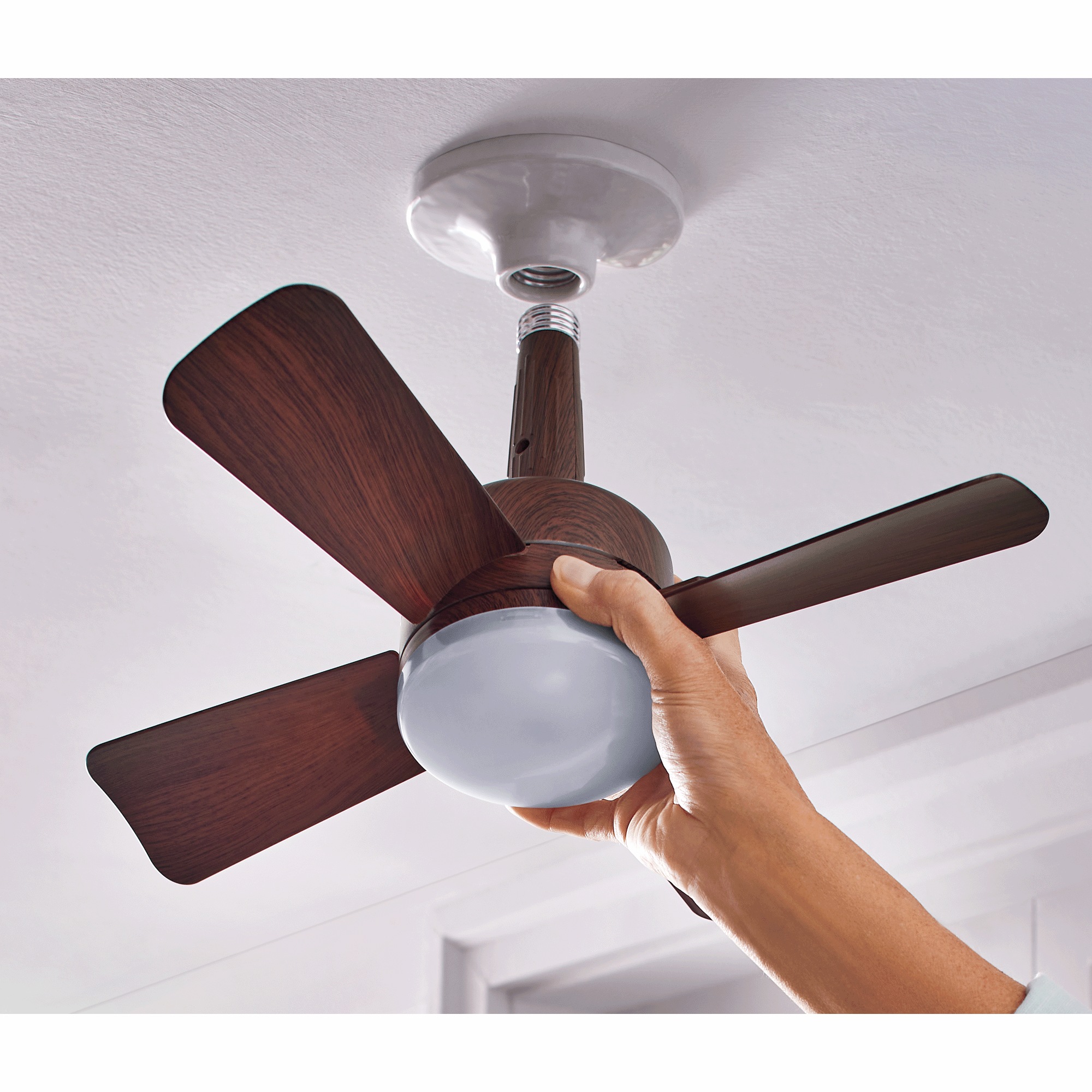 Bell+Howell Socket Fanlight 4 Bell+Howell Socket Fanlight