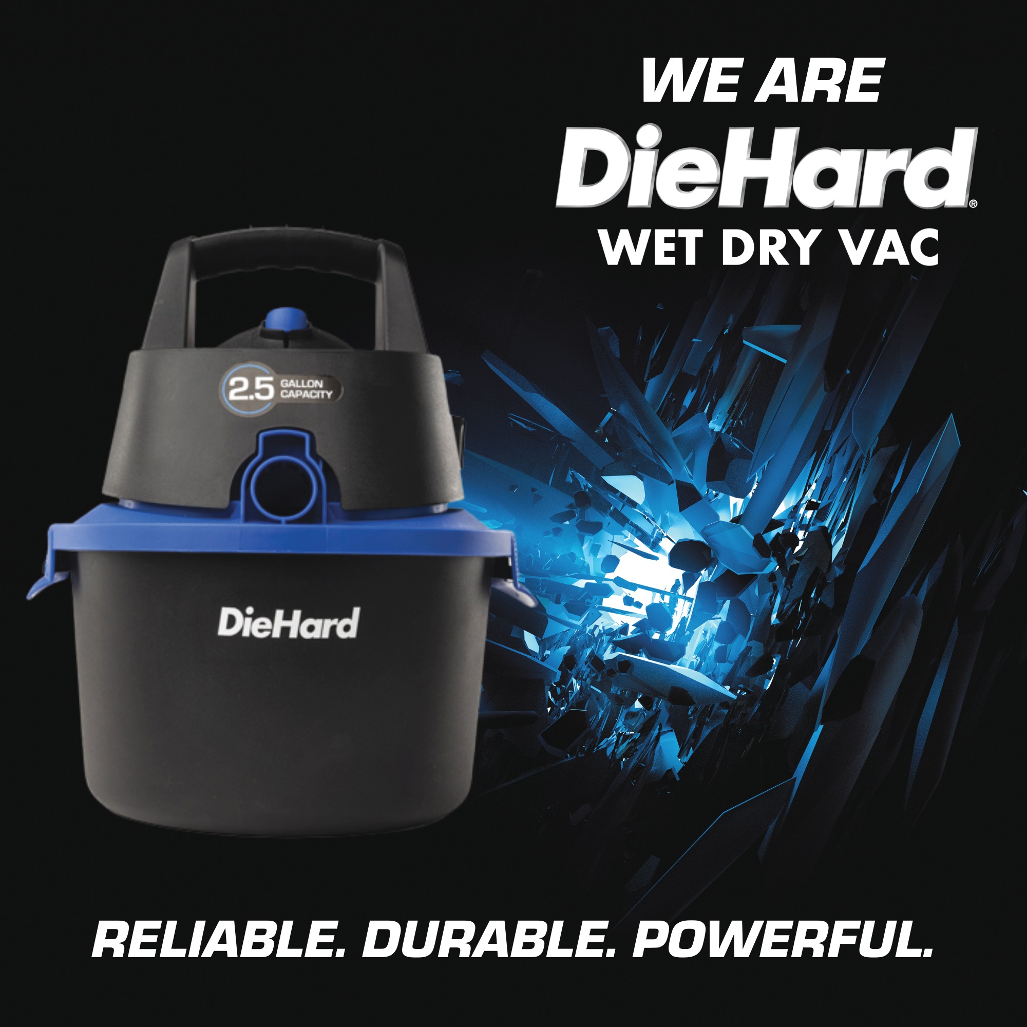 DieHard 2.5-Gallon Wall-Mount Wet/Dry Vac