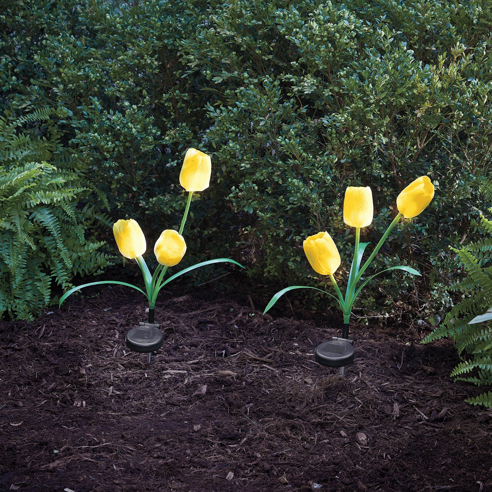 Set of 2 Solar Tulip Lights