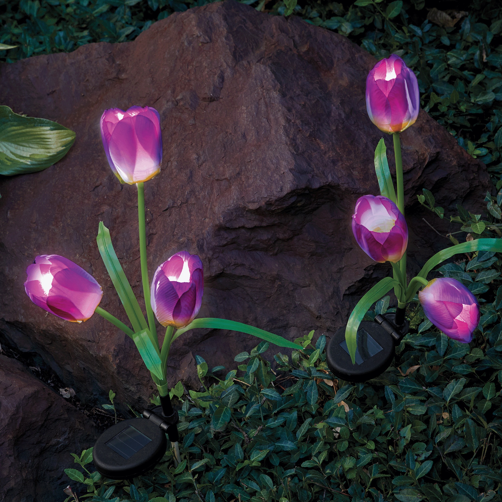 Set of 2 Solar Tulip Lights 3 Set of 2 Solar Tulip Lights