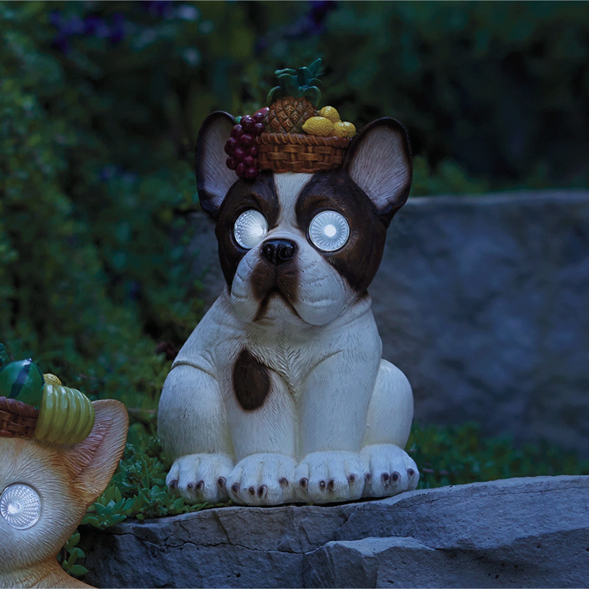 Solar Pet Friend 3 Solar Pet Friend