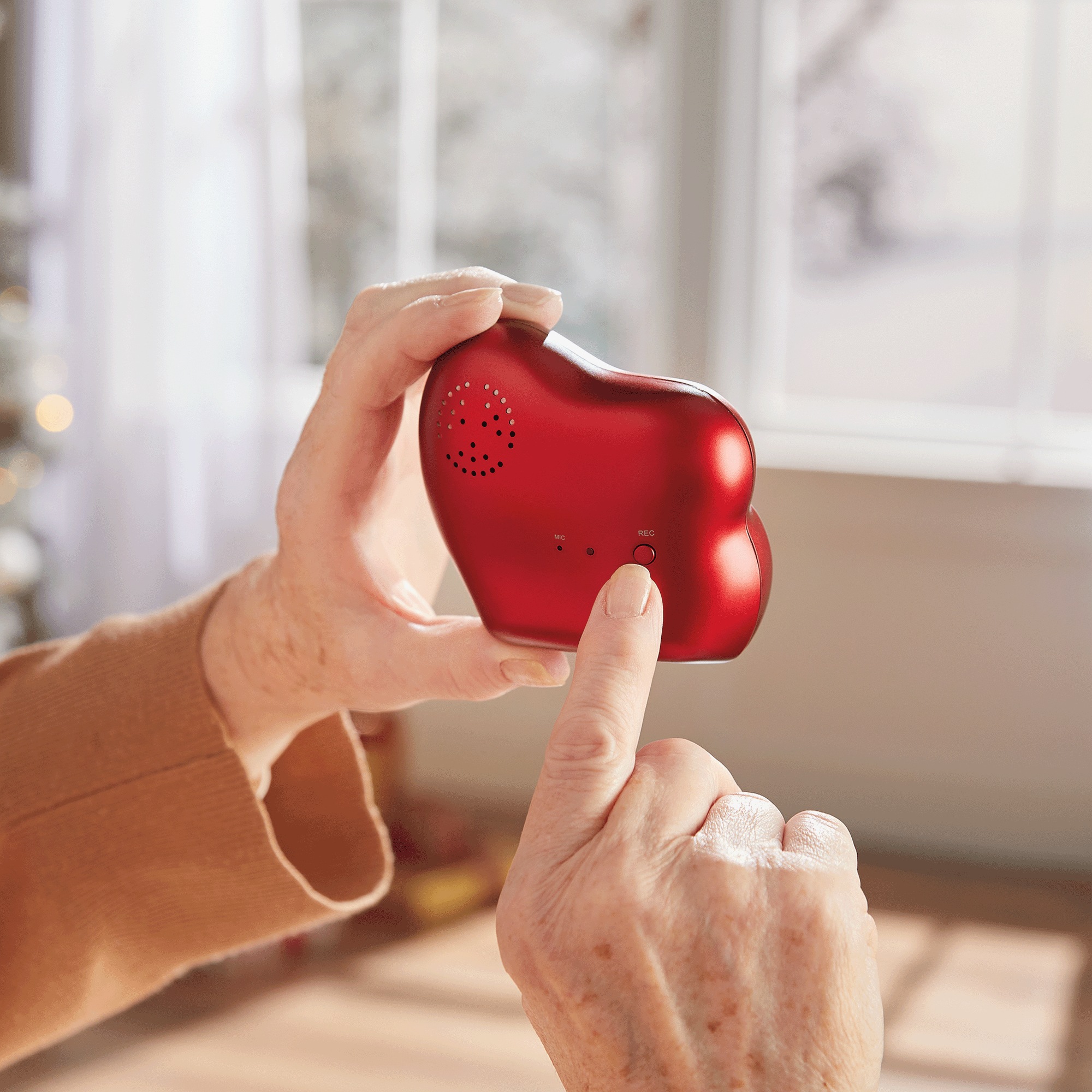 Heart-Shaped Recordable Frame