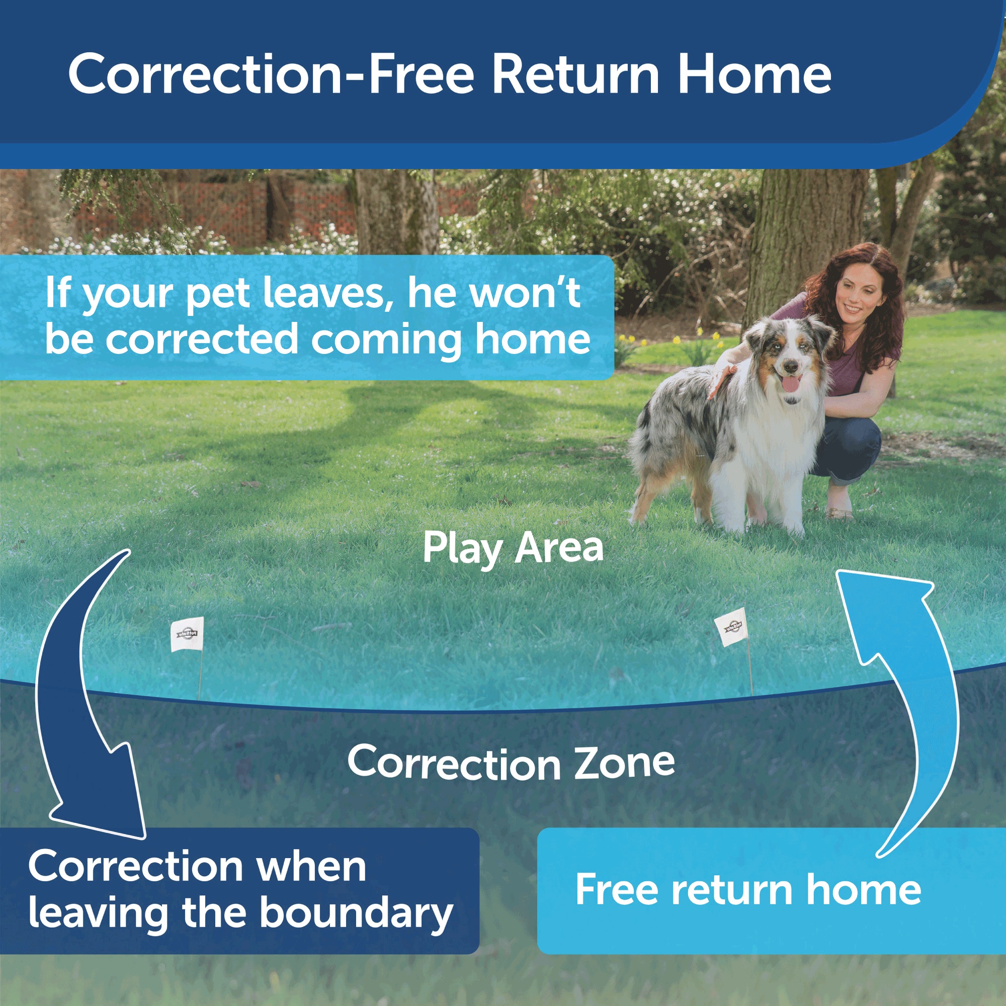 PetSafe Wireless Dog Fence 4 PetSafe Wireless Dog Fence