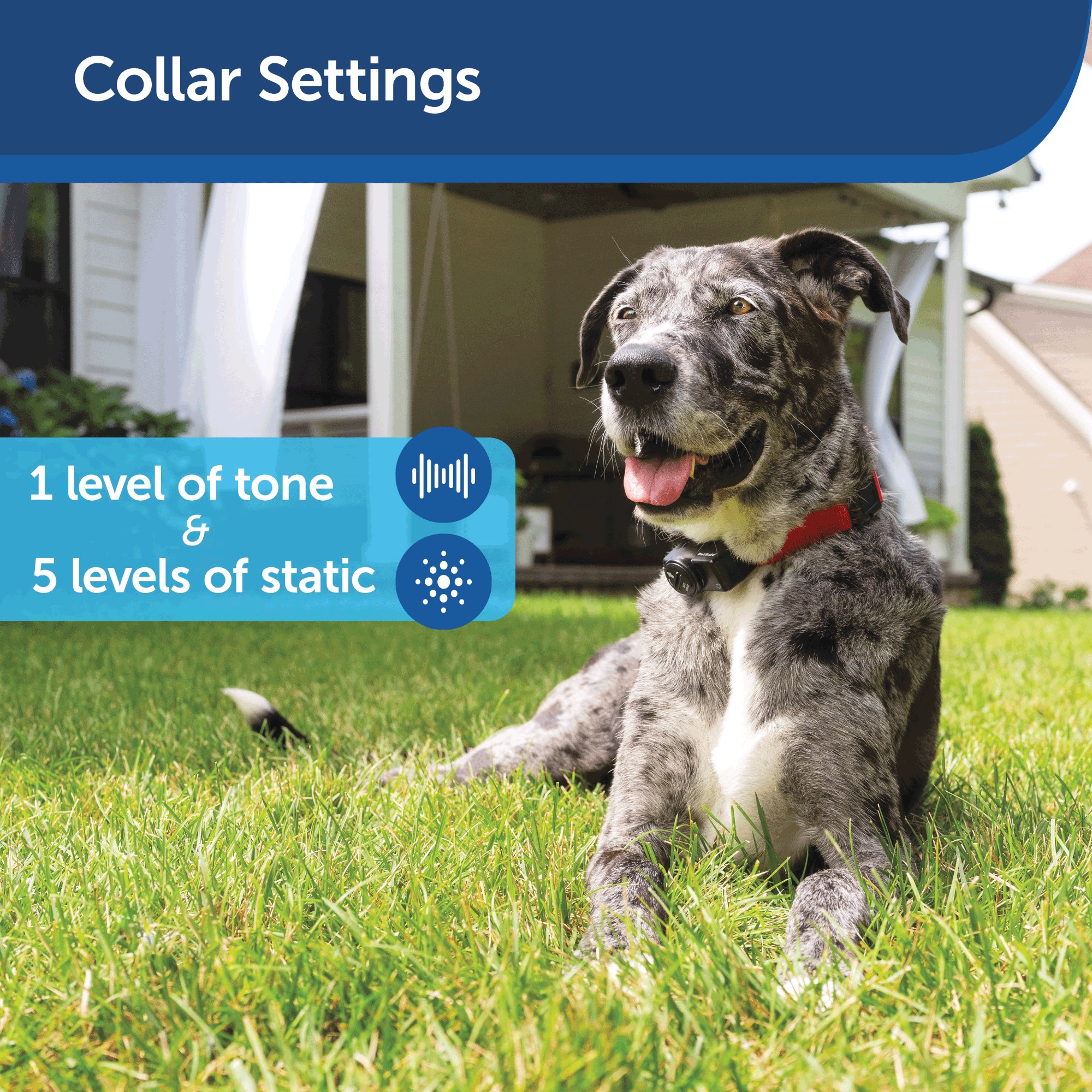 PetSafe Wireless Dog Fence 6 PetSafe Wireless Dog Fence