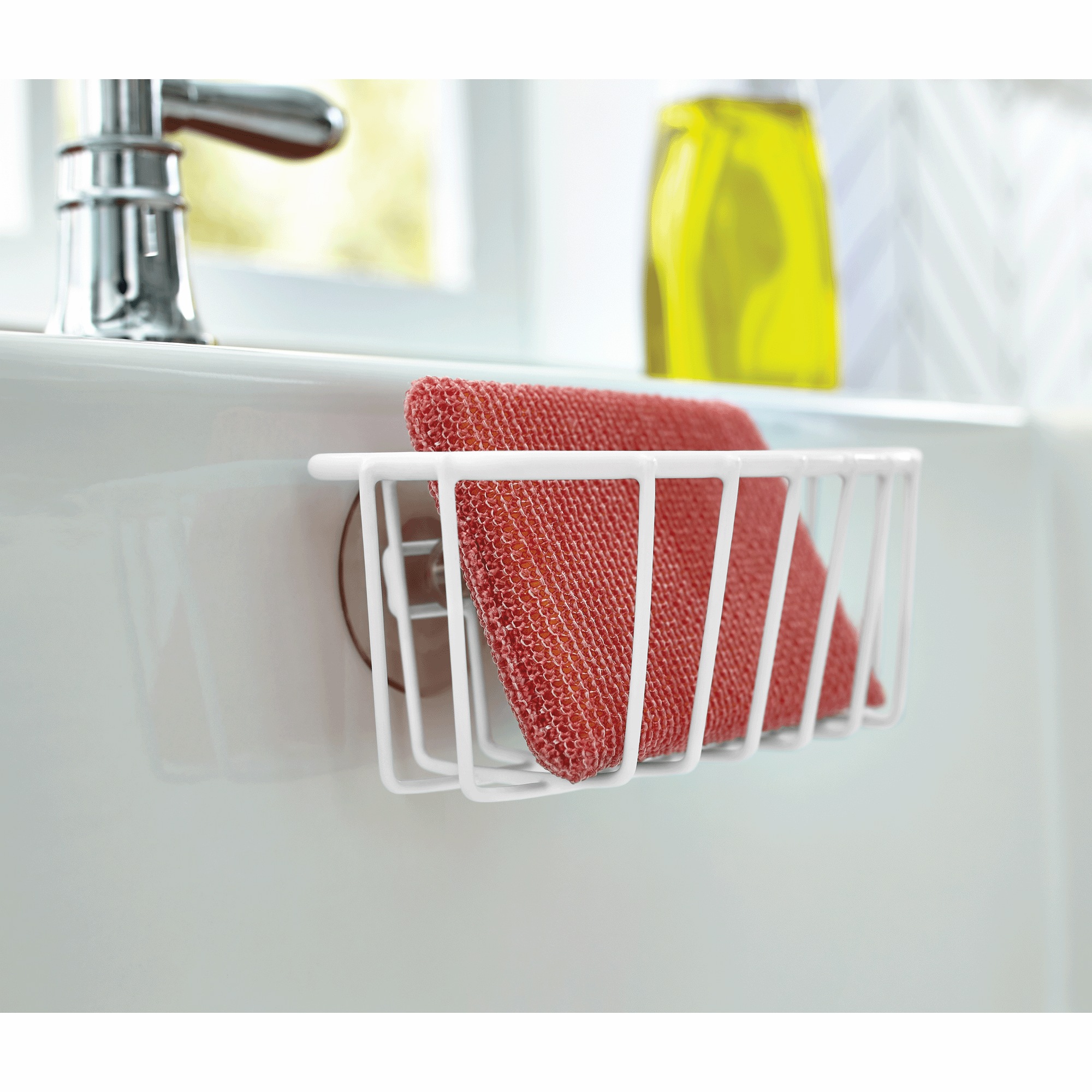 Sponge Holder with Suction Cups