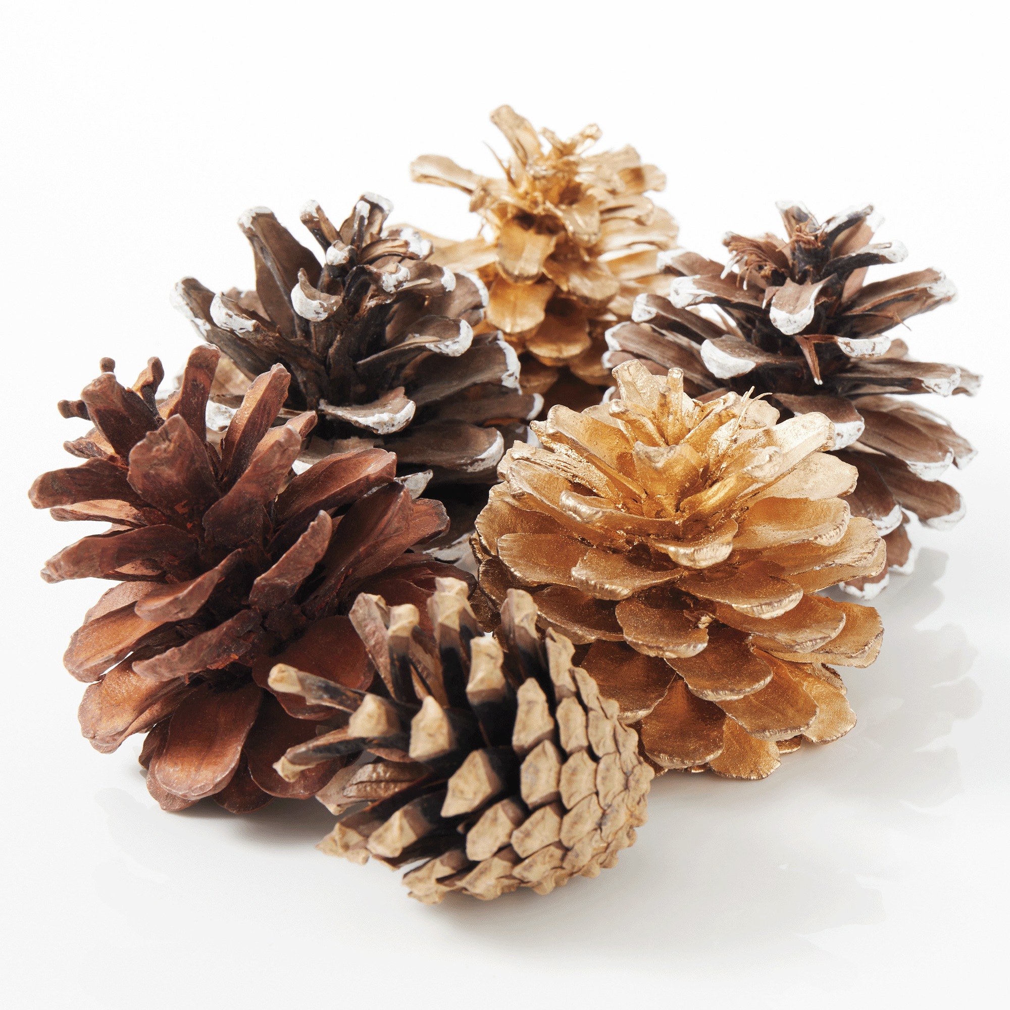 25-Piece Natural Pinecone Filler