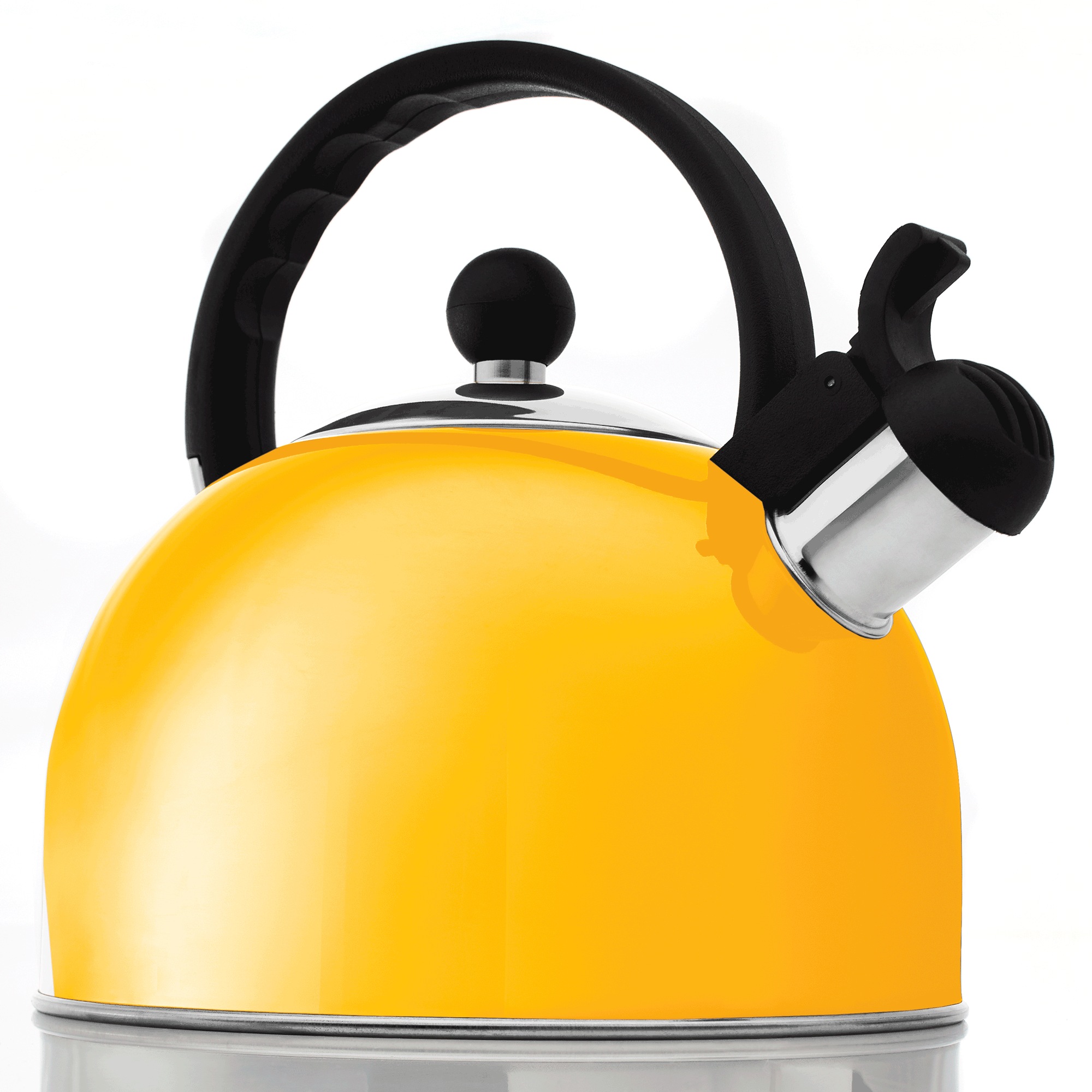 Stovetop Whistling Tea Kettle