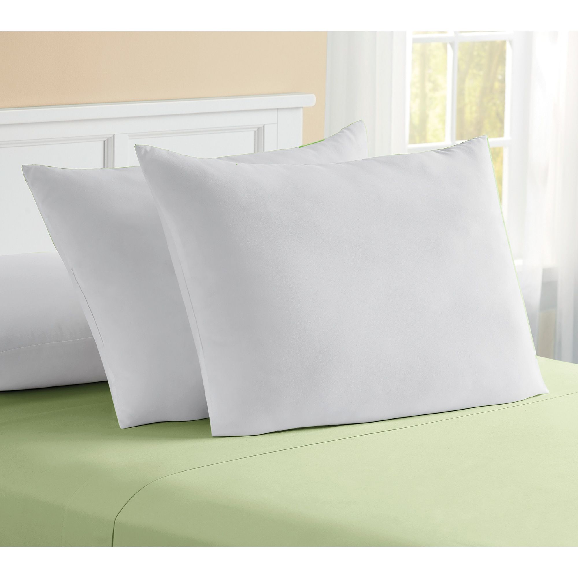 Set of 2 Pillows