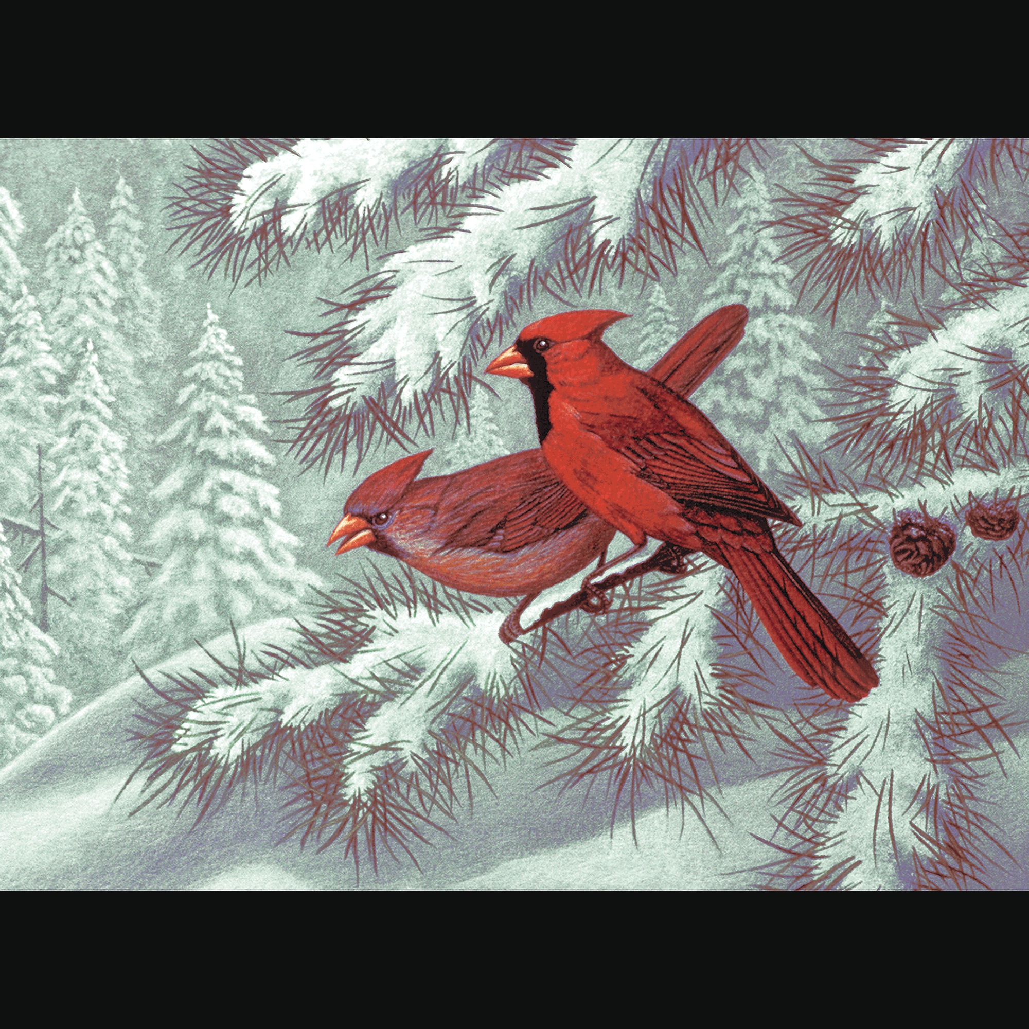 Adult Pre-Printed Paint-by-Number Kit