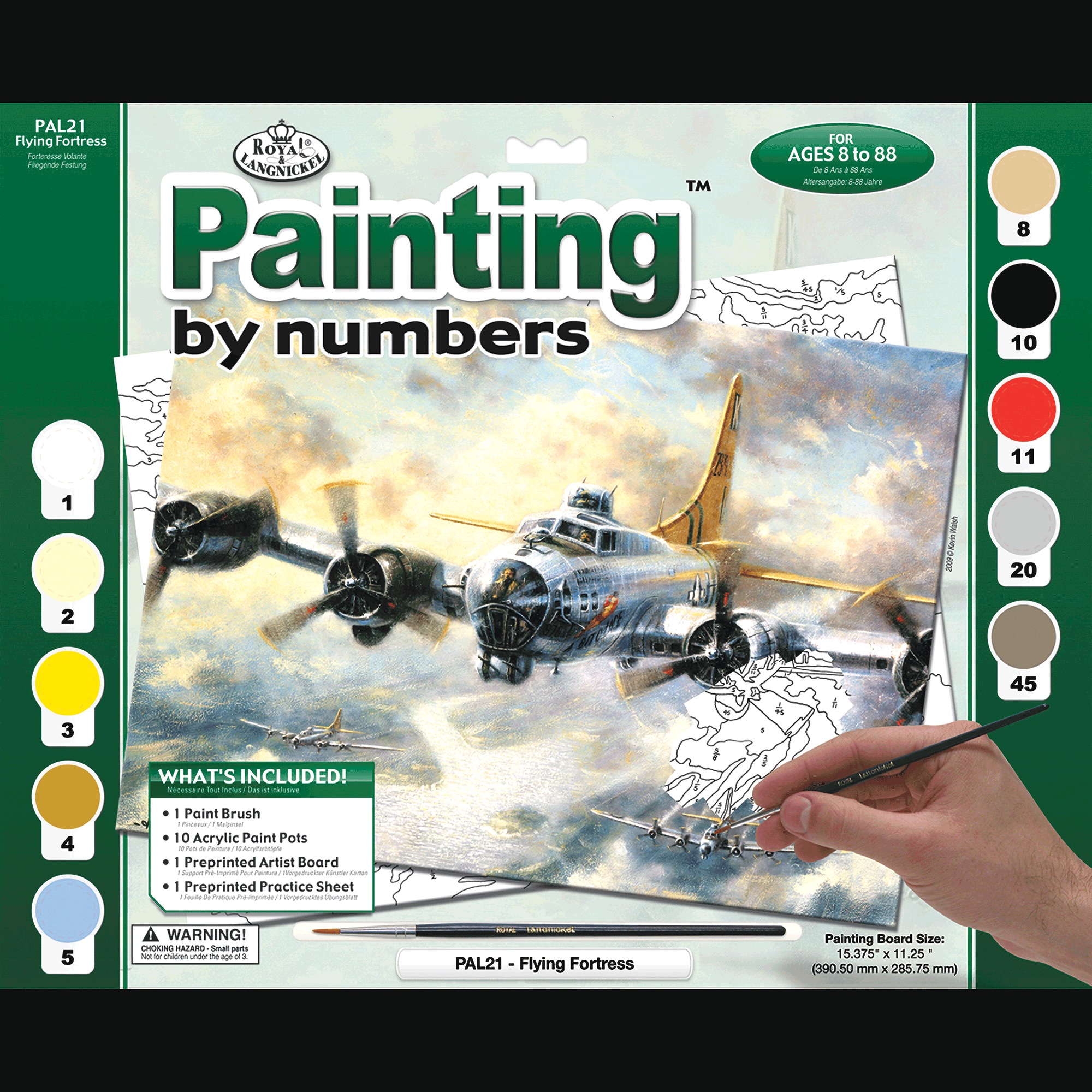 Adult Pre-Printed Paint-by-Number Kit