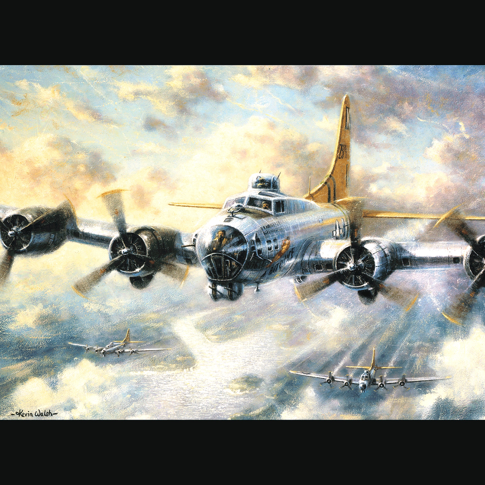 Adult Pre-Printed Paint-by-Number Kit