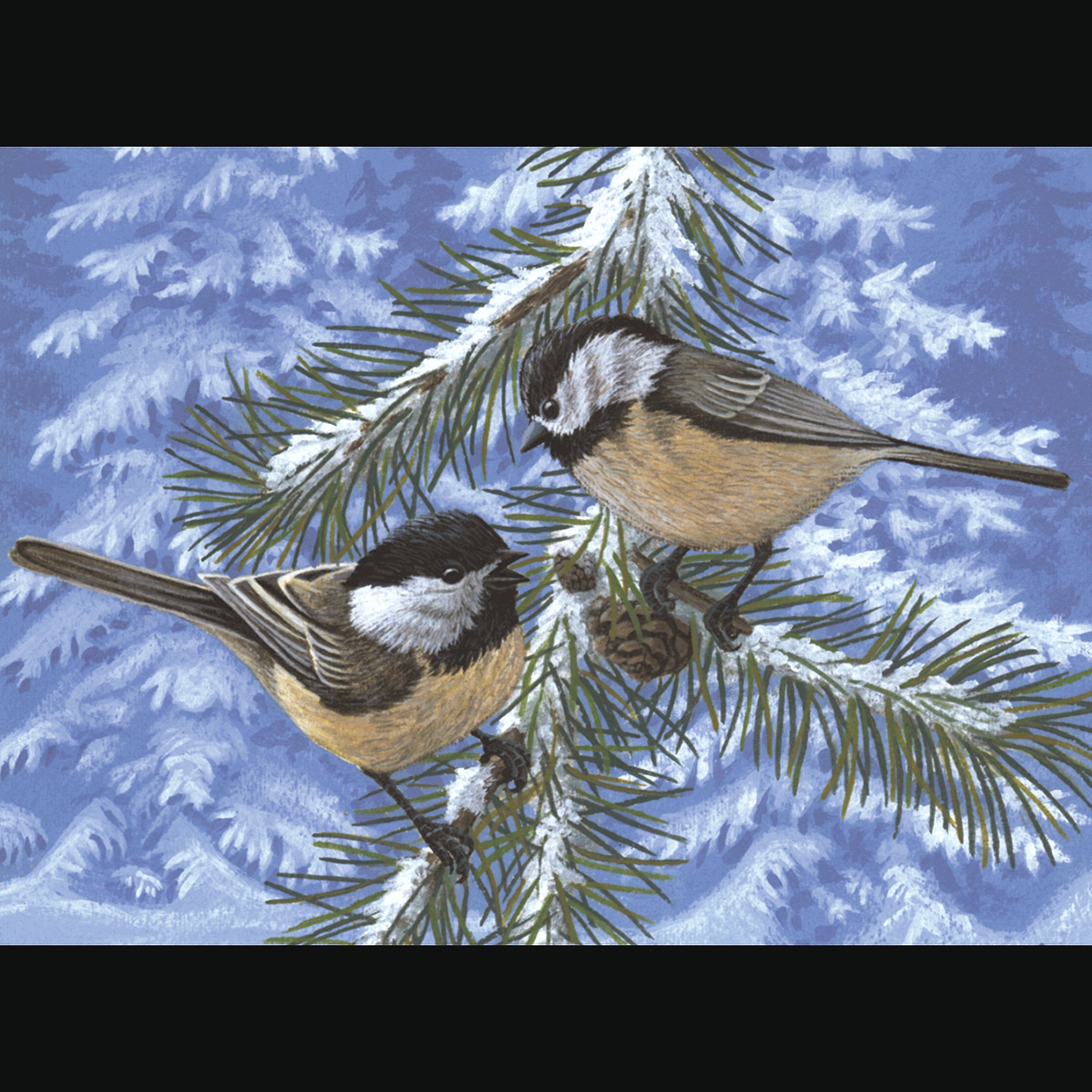 Adult Pre-Printed Paint-by-Number Kit