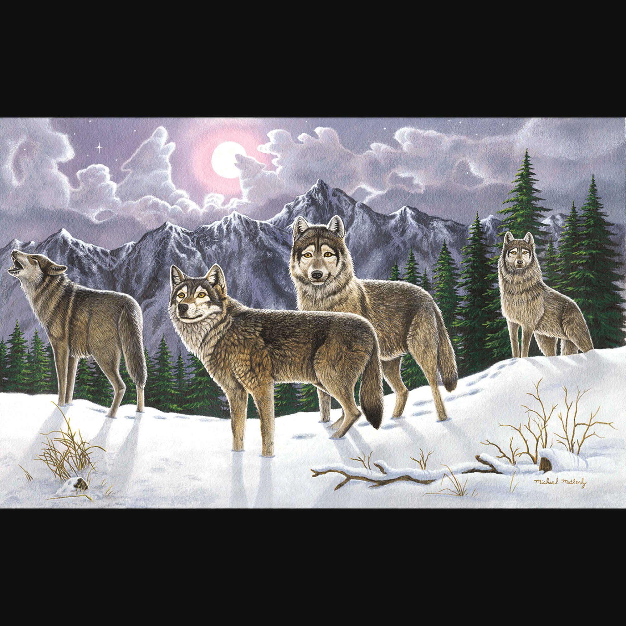 Adult Pre-Printed Paint-by-Number Kit