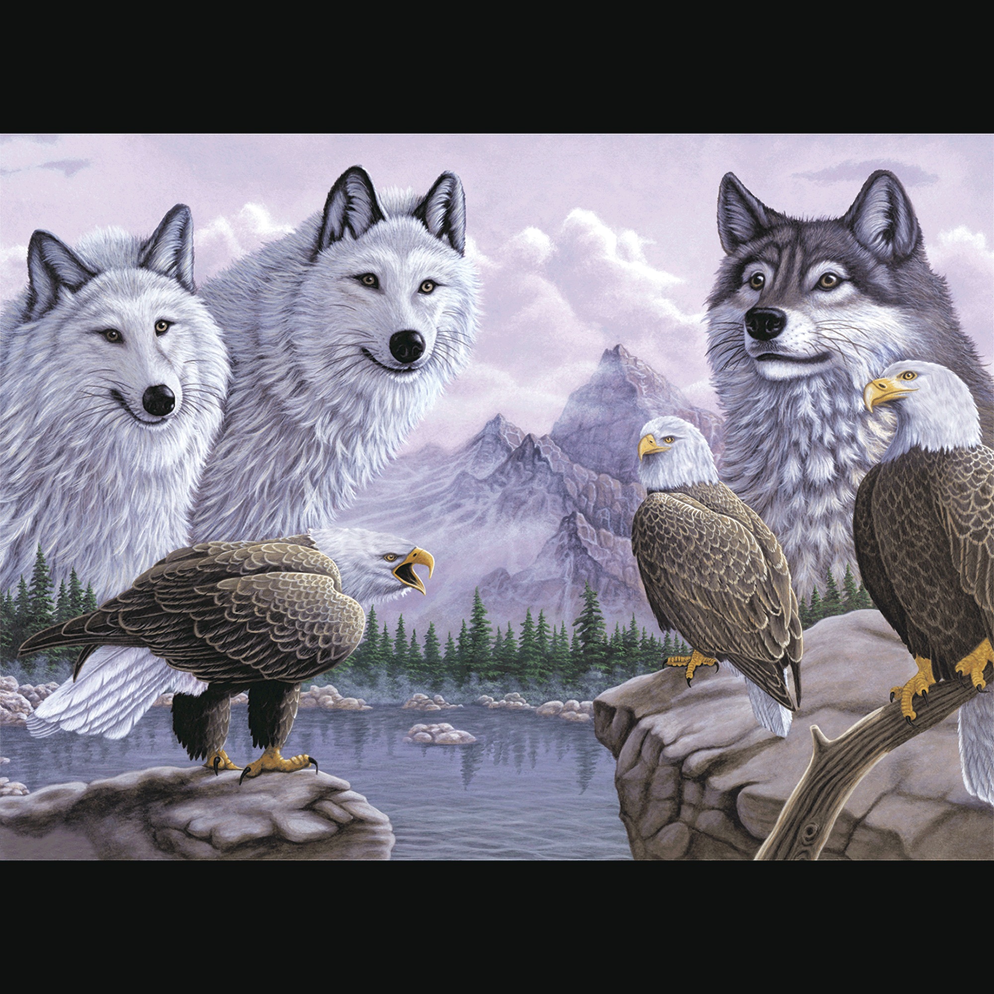 Adult Pre-Printed Paint-by-Number Kit