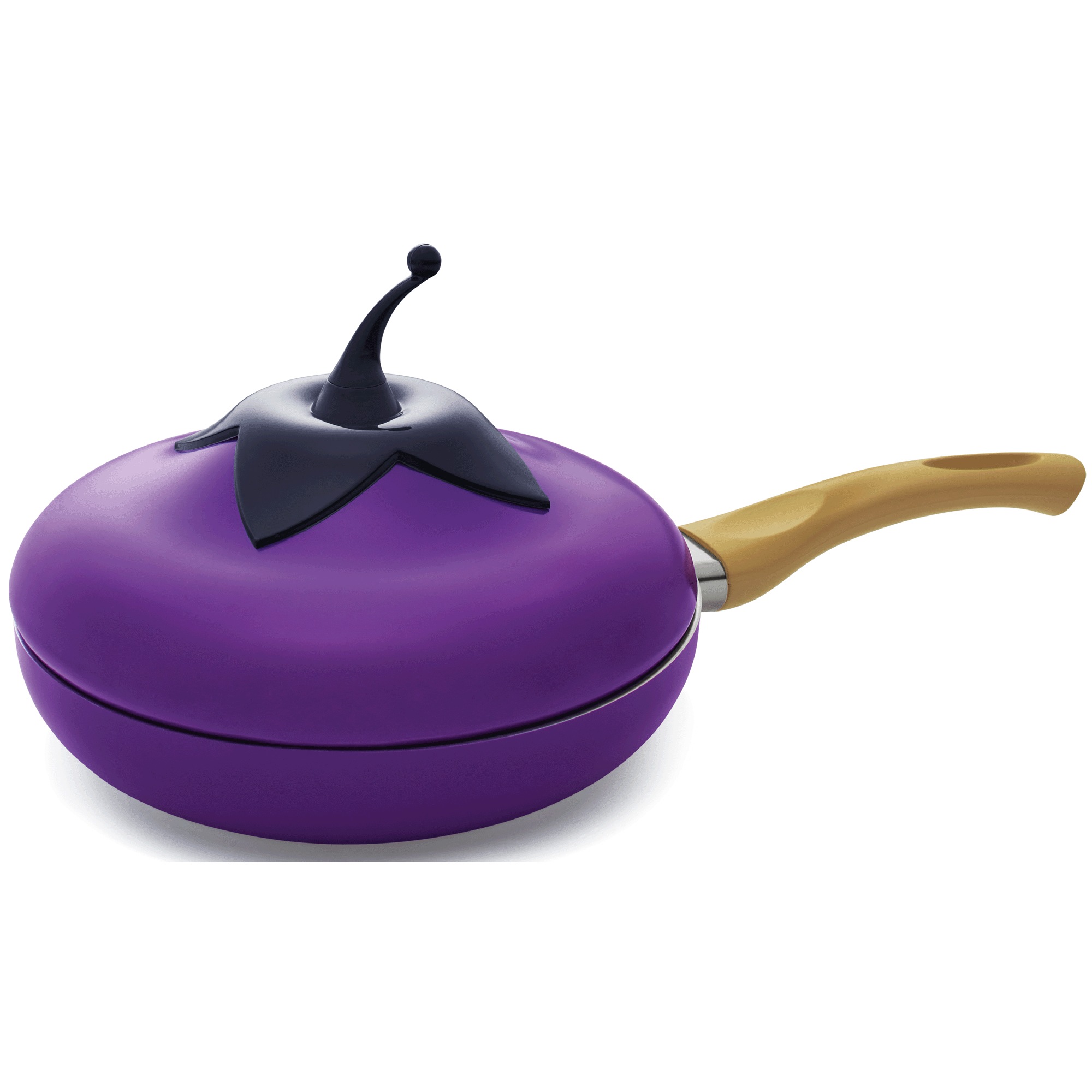 Novelty Fry Pan with Lid